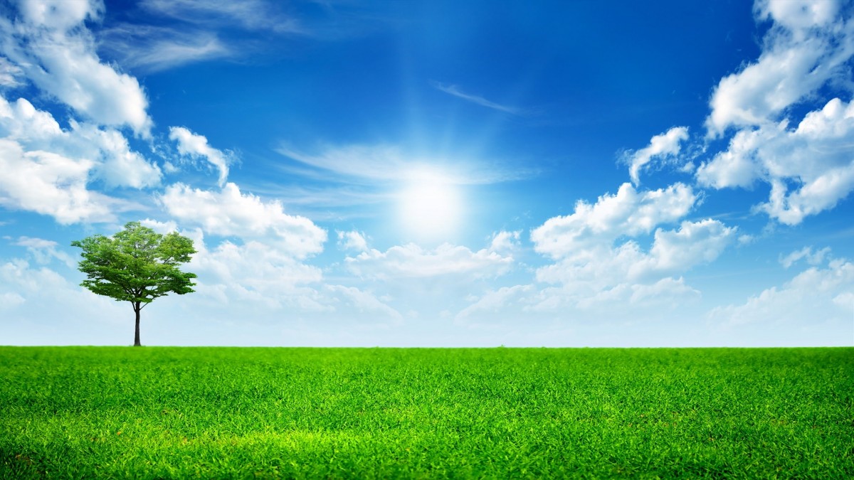دشت-آسمان-درخت-منظره-طبیعت